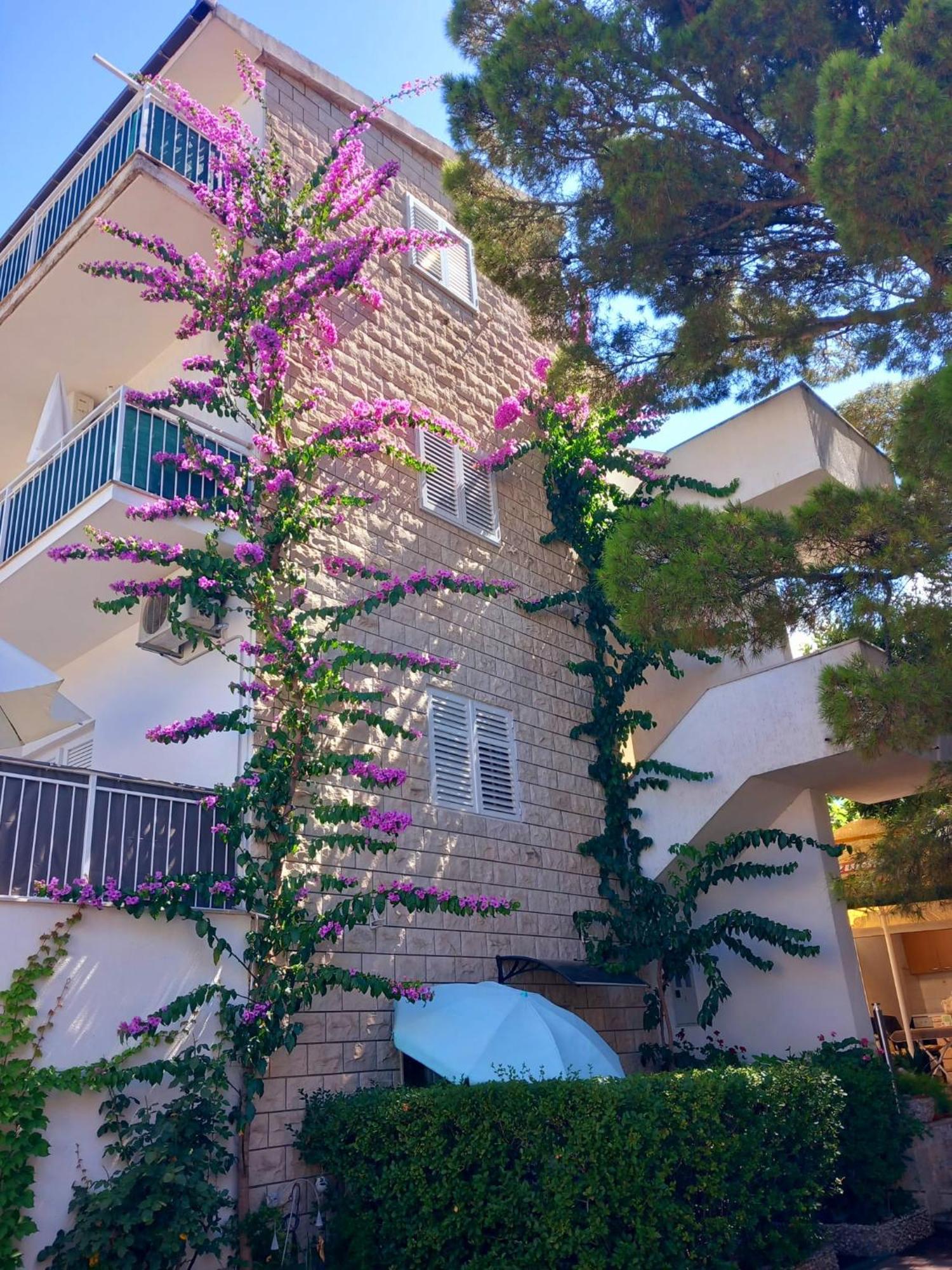 Apartmani Omrcen Baška Voda Eksteriør billede